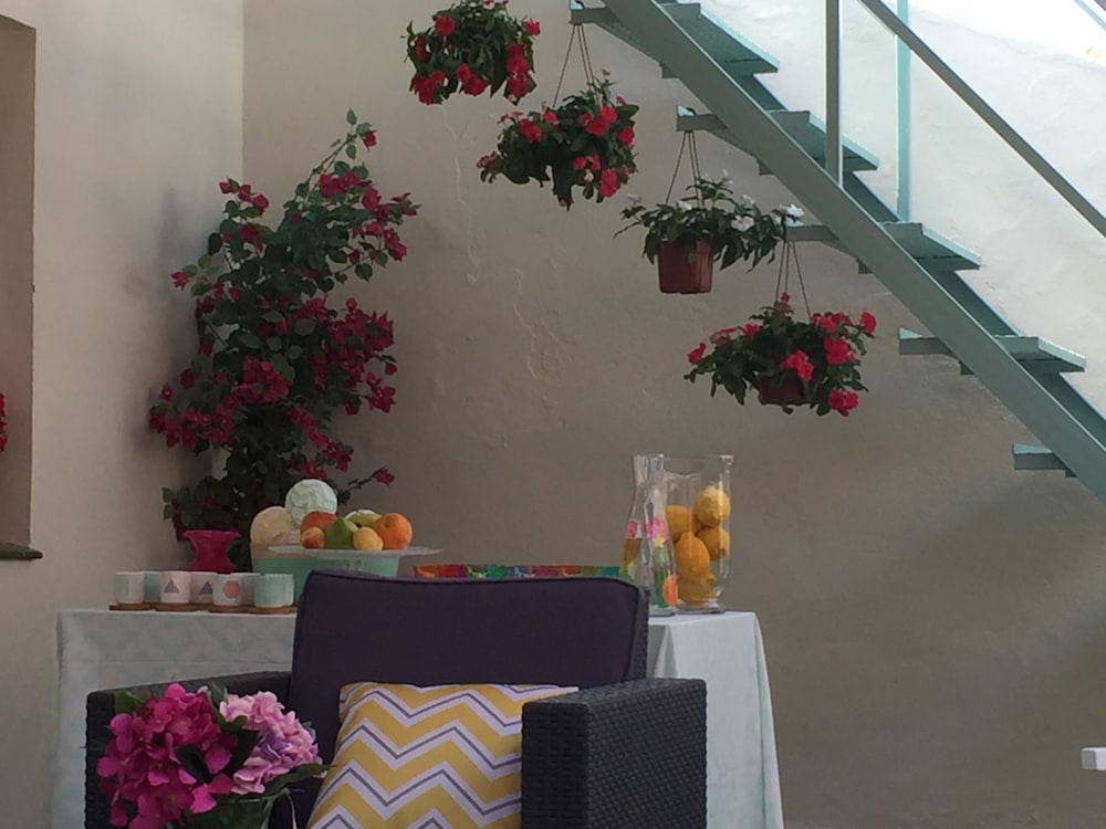 Hostal Jardin De La Alameda 43/50