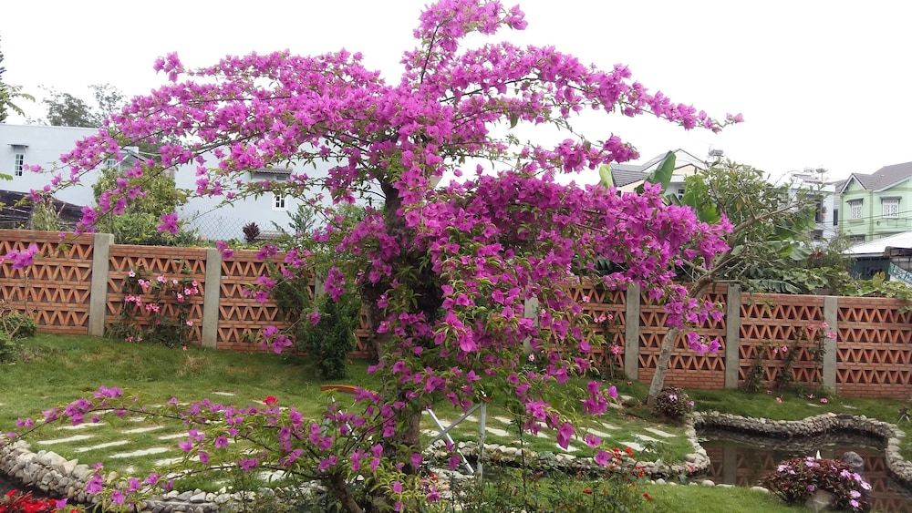 Bach Duong Villa photo2