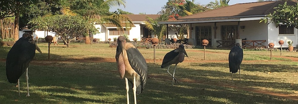 Ameg Lodge Kilimanjaro 31/36