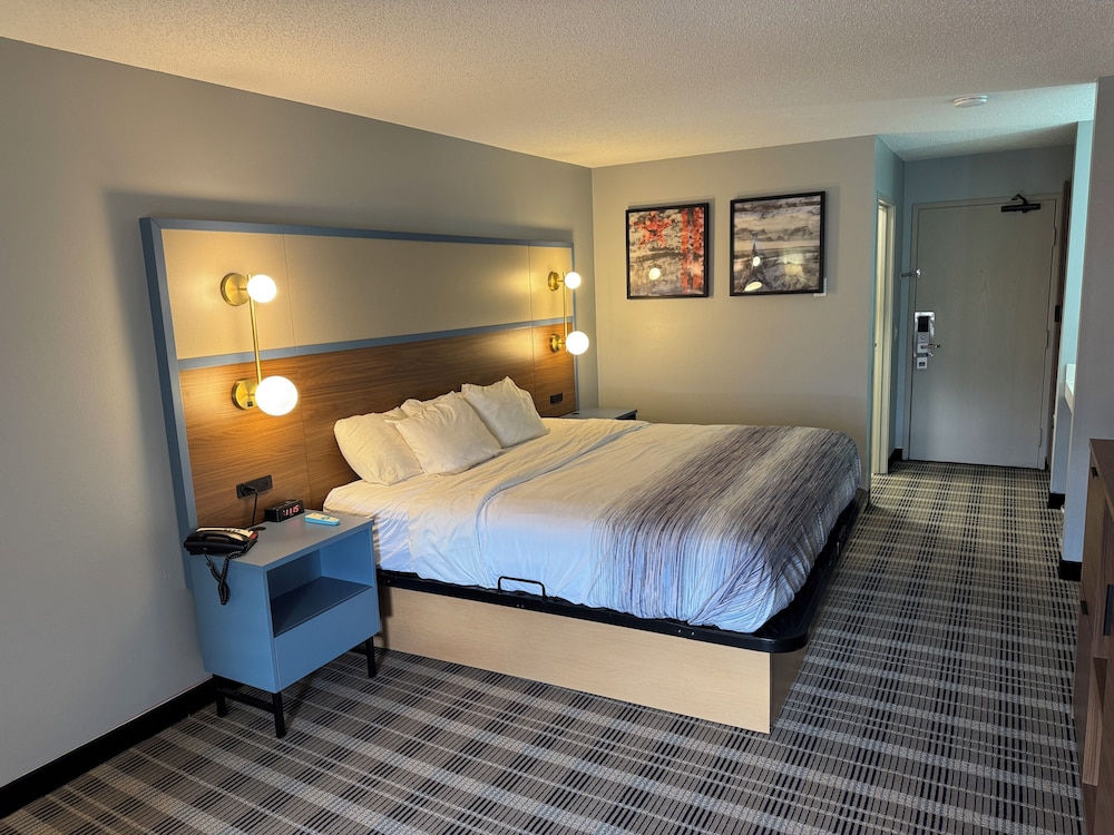 Room, Queen Bed