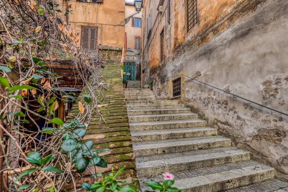 Luxury Navona 55/58