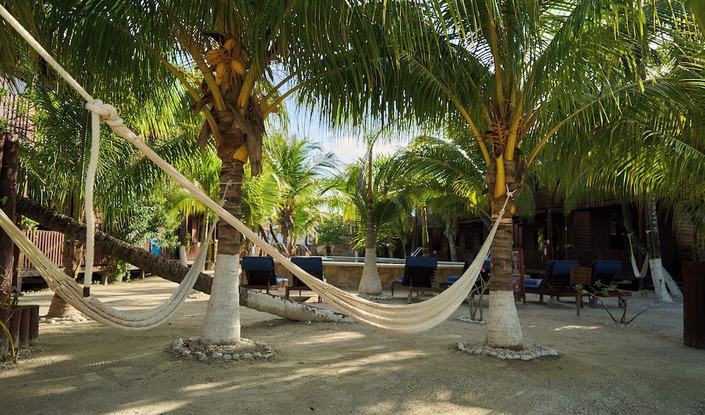 COCONUT BY OOL HOTELS 26/43