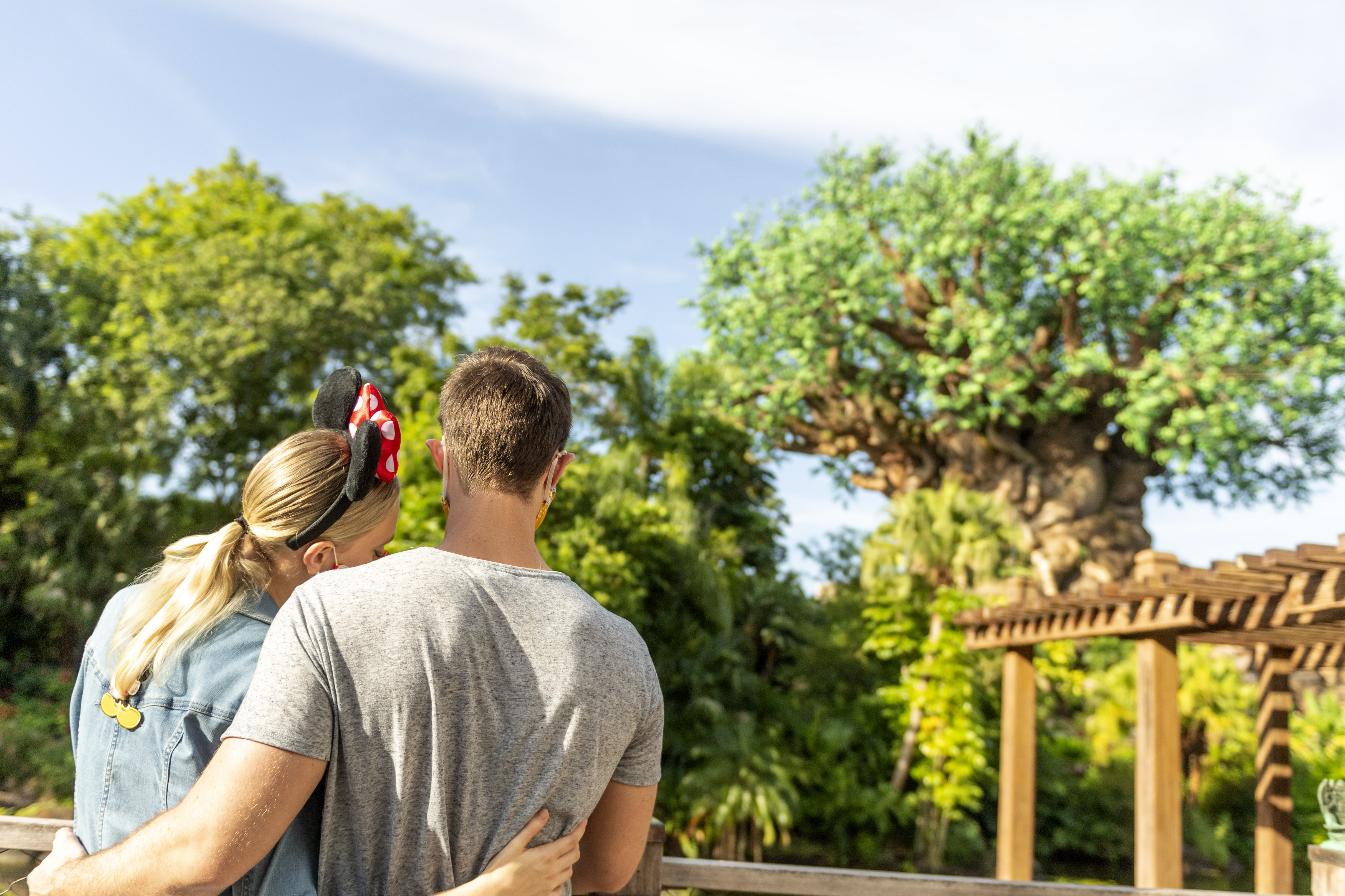 Copper Creek Villas and Cabins at Disneys Wilderness Lodge 11/14