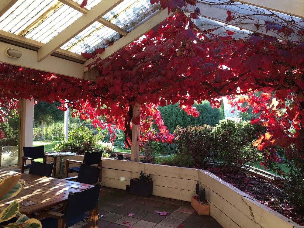 Bellevue Bed and Breakfast Mclaren Vale 5/29