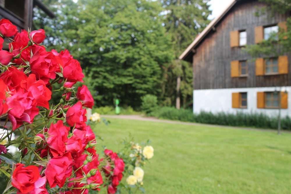 Hapimag Resort Braunlage 38/45