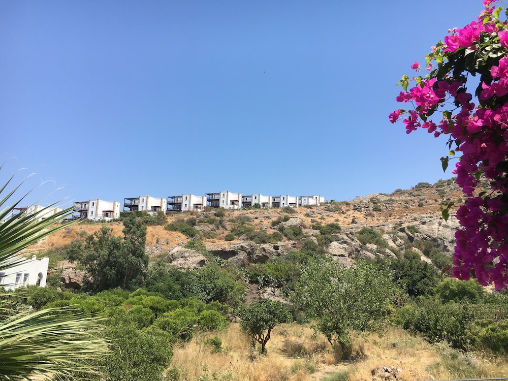 Villa Oliva Butik Hotel 34/50