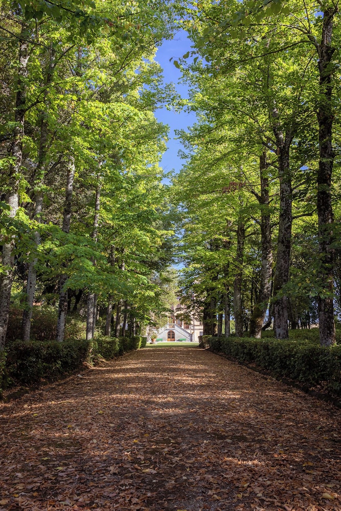 Agriturismo I Bonsi 38/50