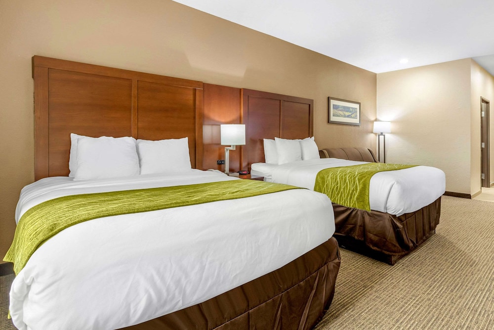Comfort Inn and Suites Davenport Quad Cities 11/41