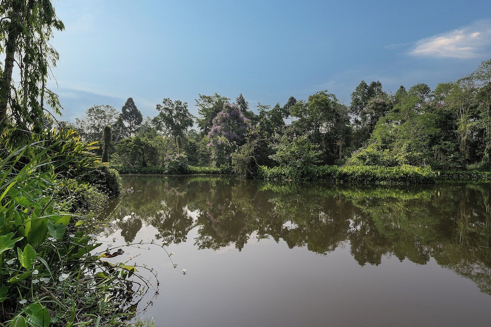 Sappraiwan Elephant Resort & Sanctuary 45/50