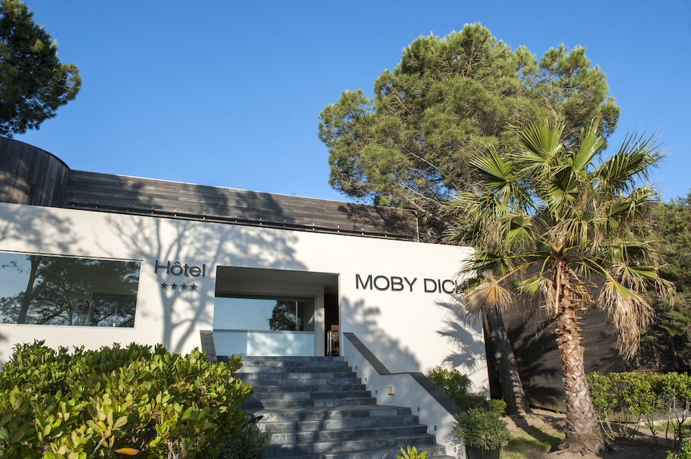 Hotel Moby Dick 6/50