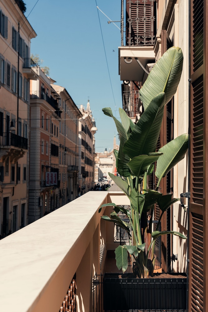 Noblesse Corso 43 2/28