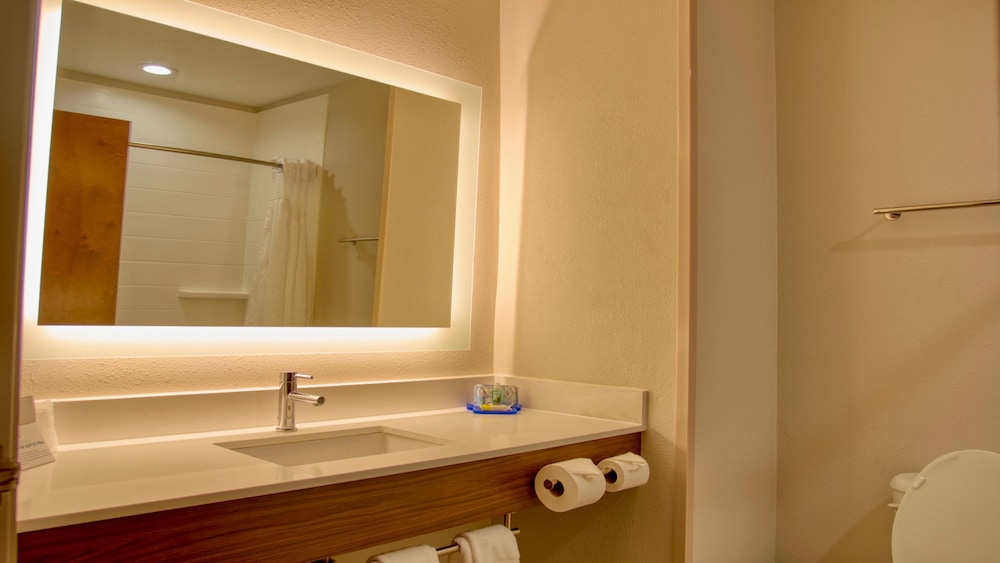 Holiday Inn Express Hotel Suites Byram 67/70
