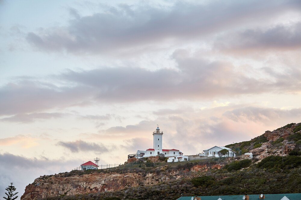 Perna Perna Mossel Bay 41/50