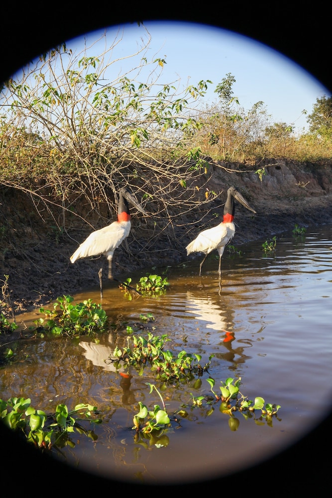 Pantanal Mato Grosso Hotel 59/69