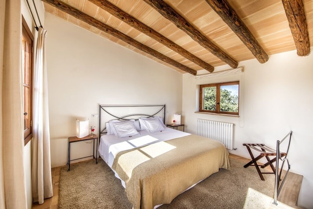 Senior, Suite, King Bed