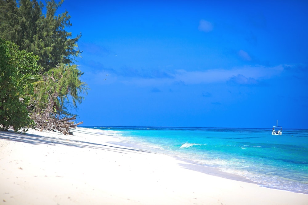 DENIS PRIVATE ISLAND 38/50