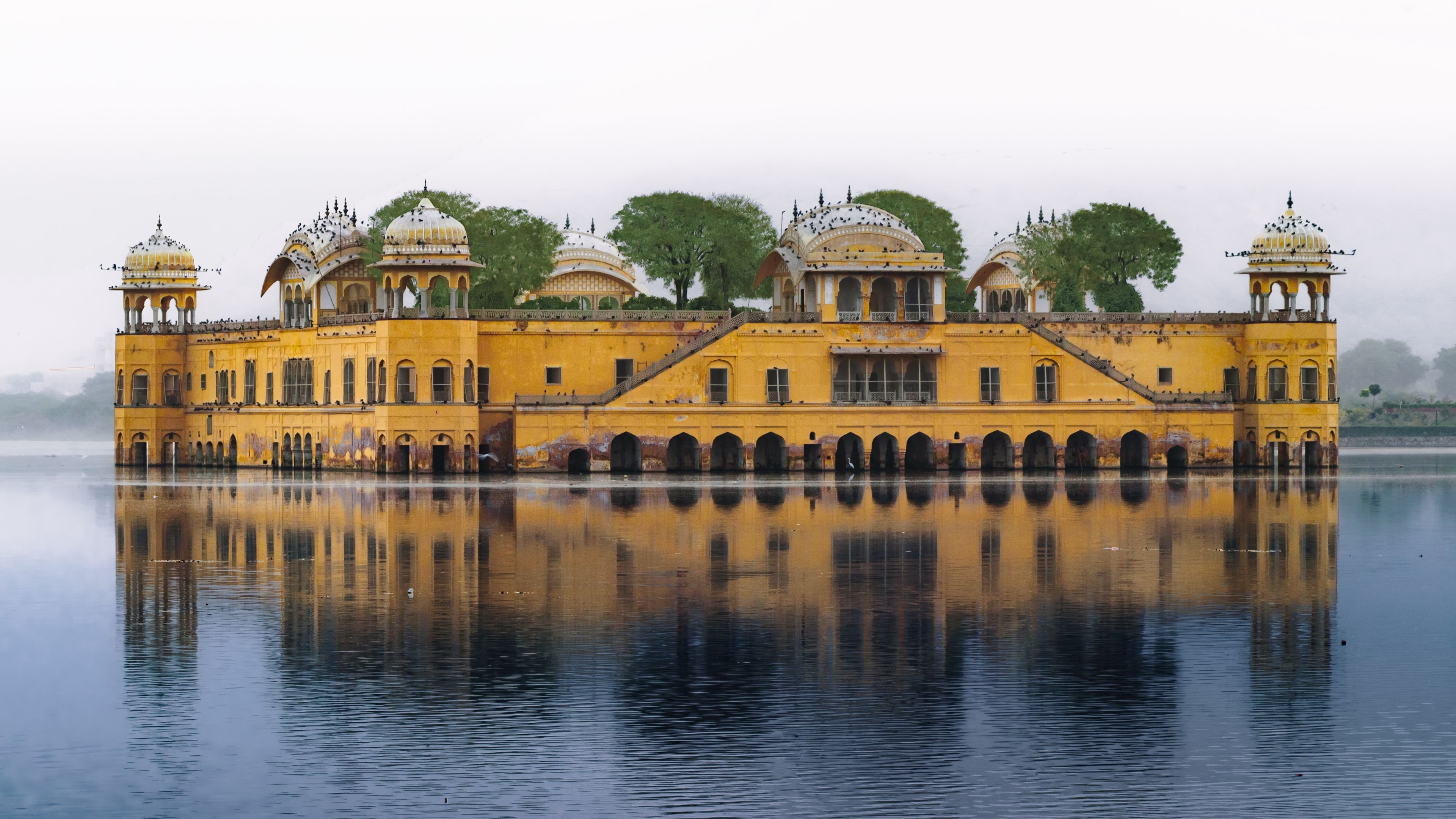 Holiday Inn Jaipur City Centre by IHG 5/50