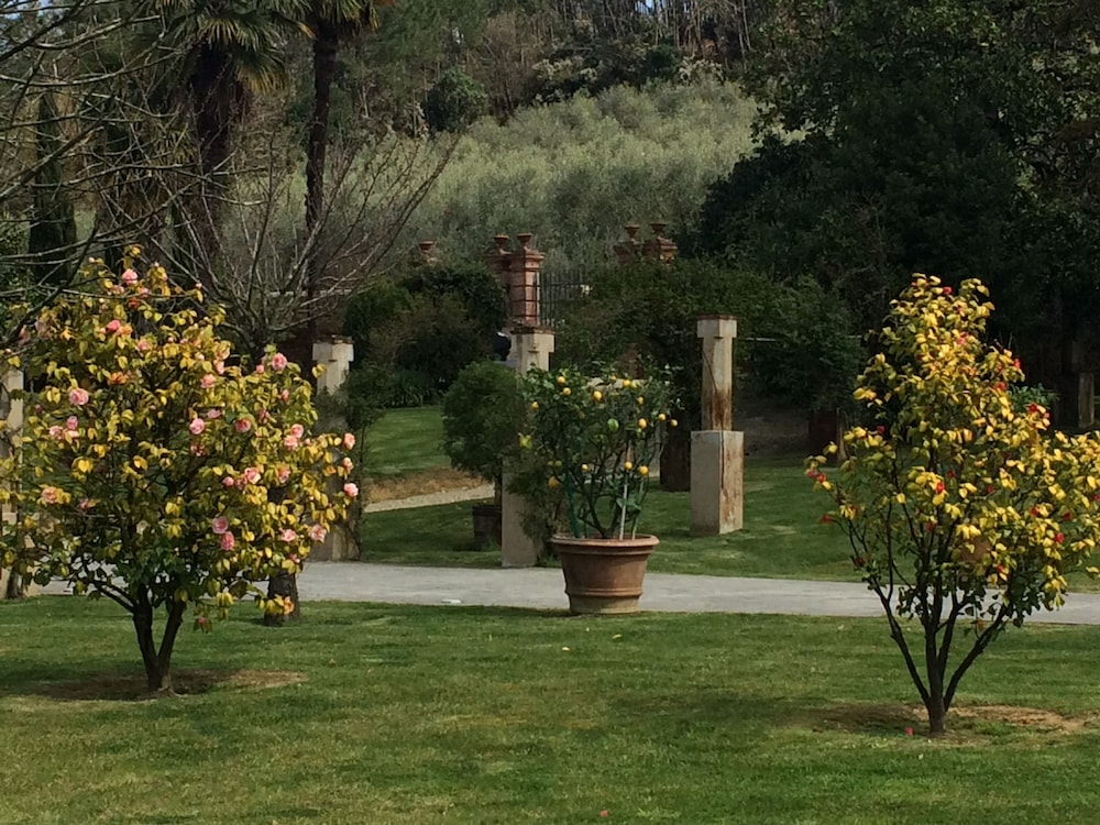 Albergo Villa Marta 5/77