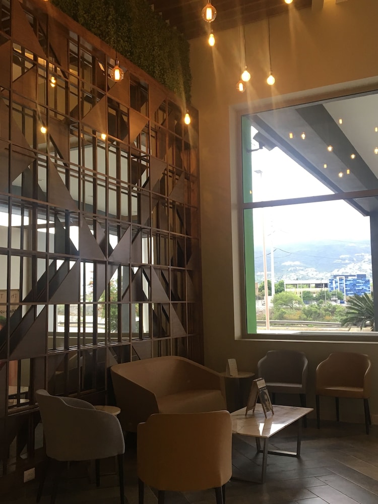 Wyndham Garden Monterrey Valle Real 22/41