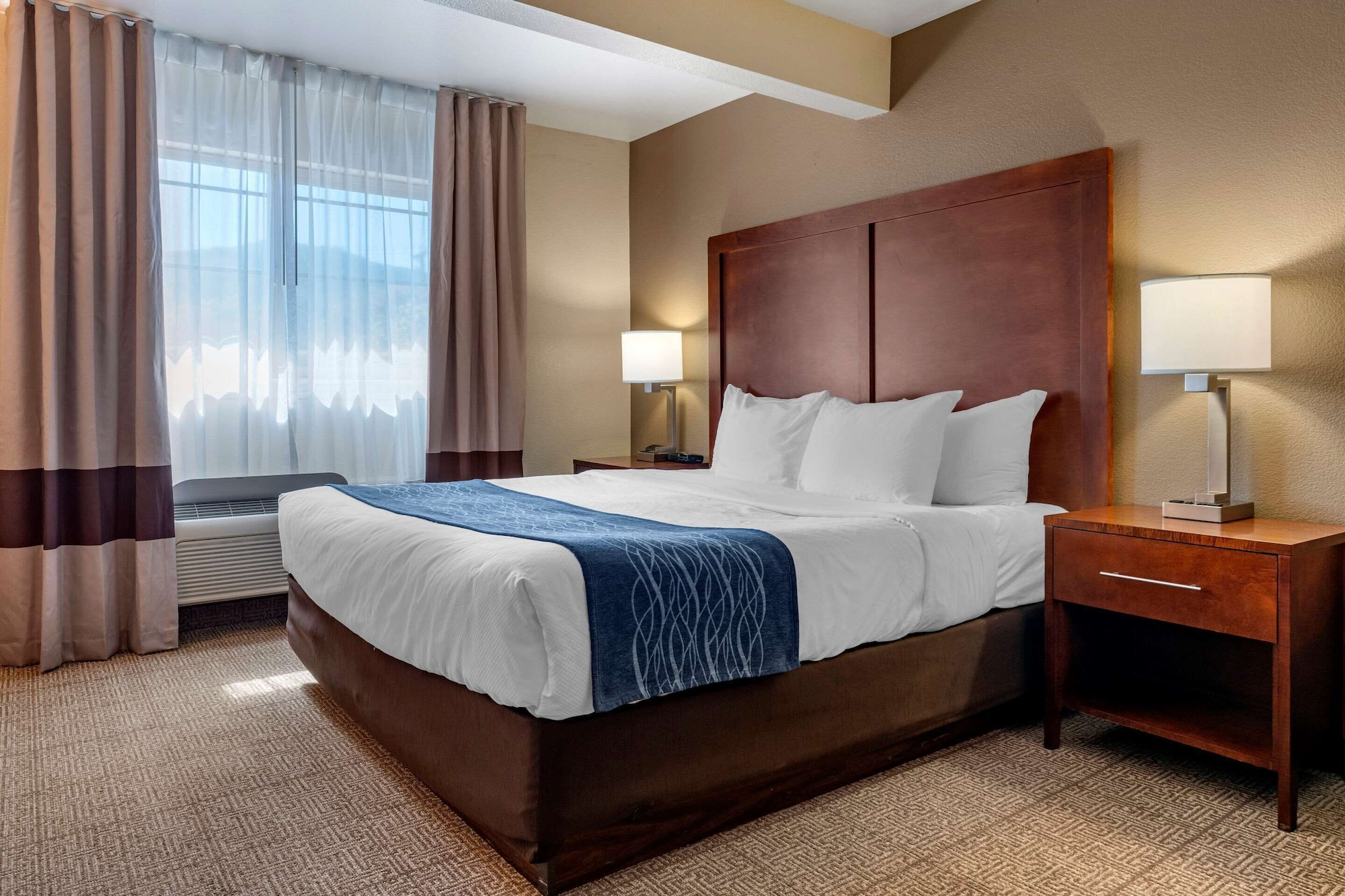 Executive, King Bed, Sofa