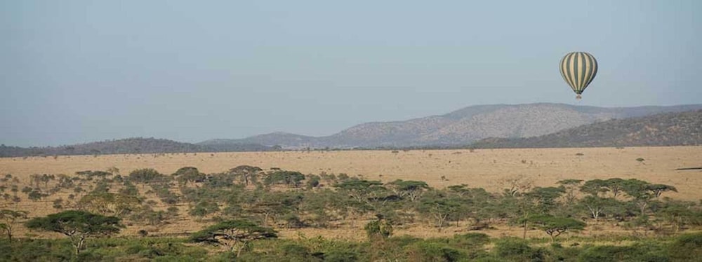 Seronera Wildlife Lodge 31/40