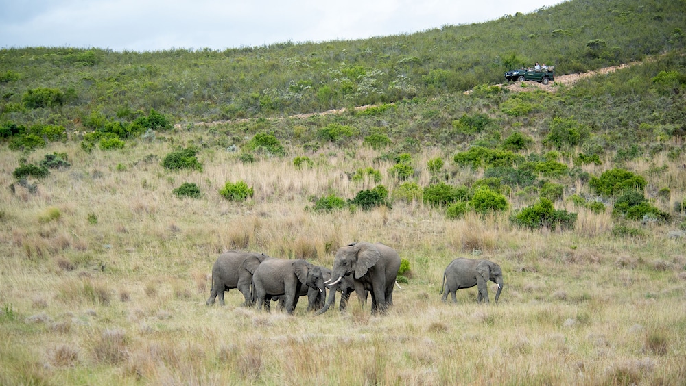 Gondwana Game Reserve 45/50