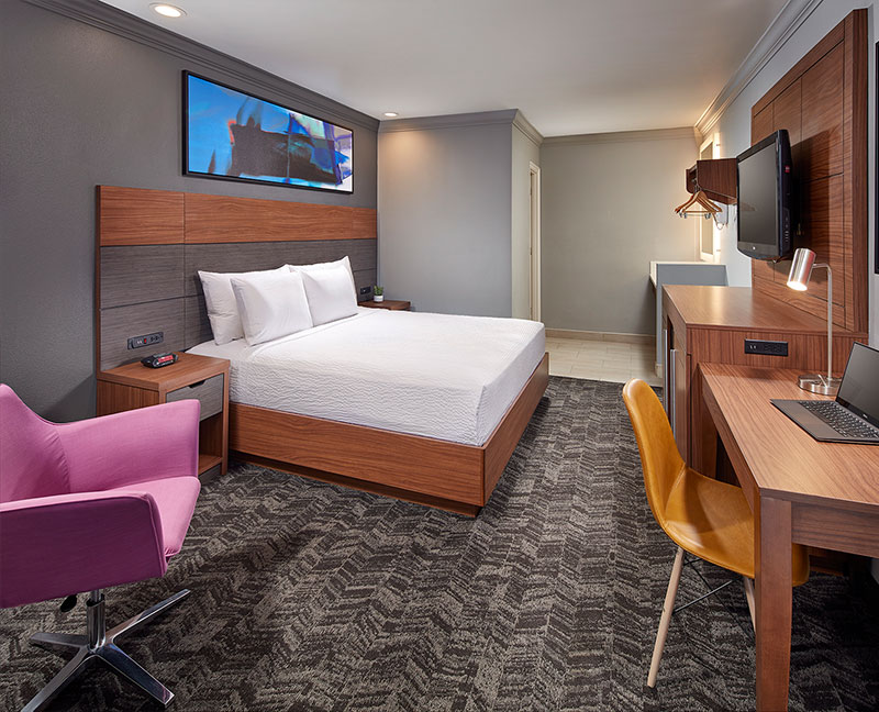 Room, King Bed