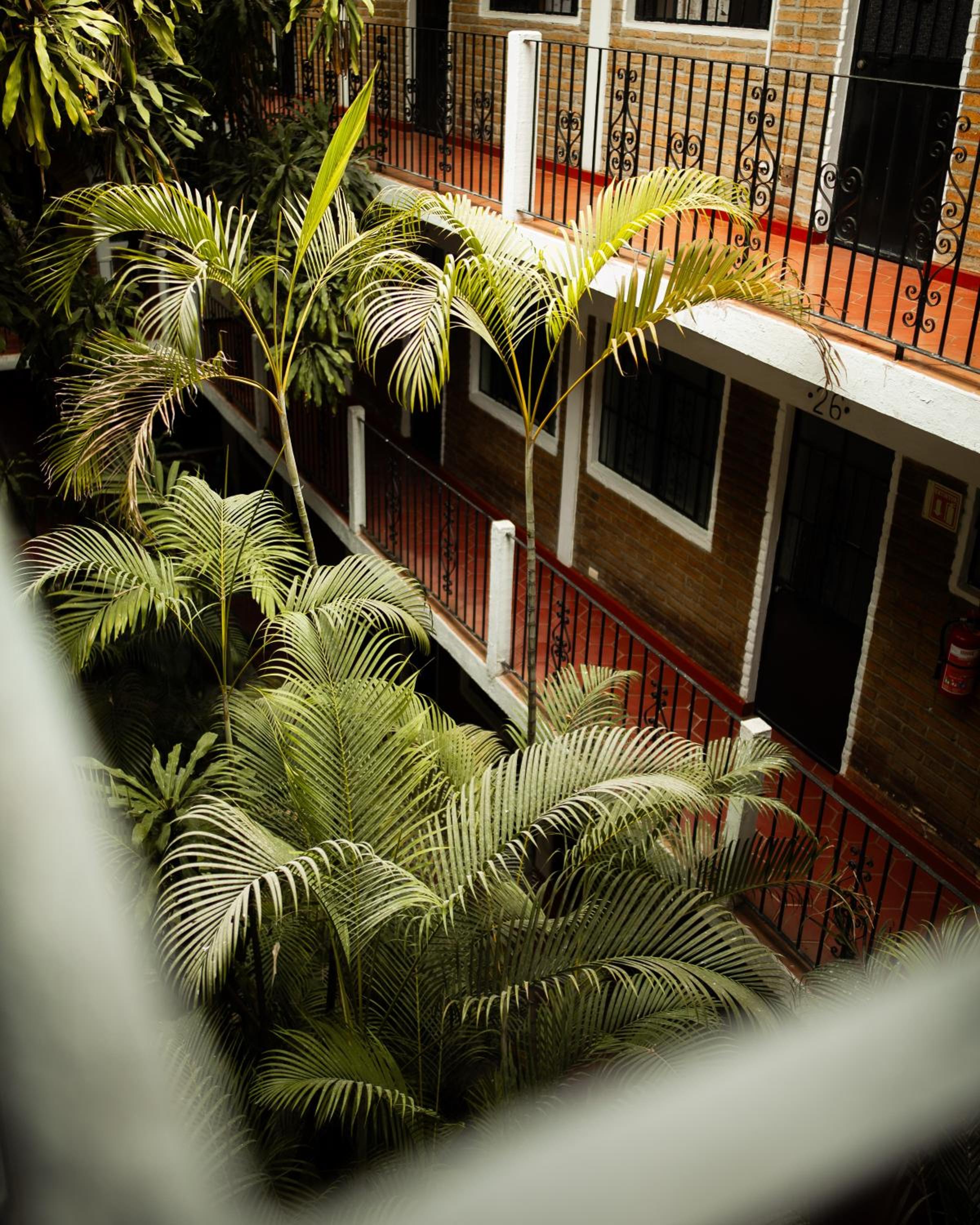 Hotel Azteca 2/26