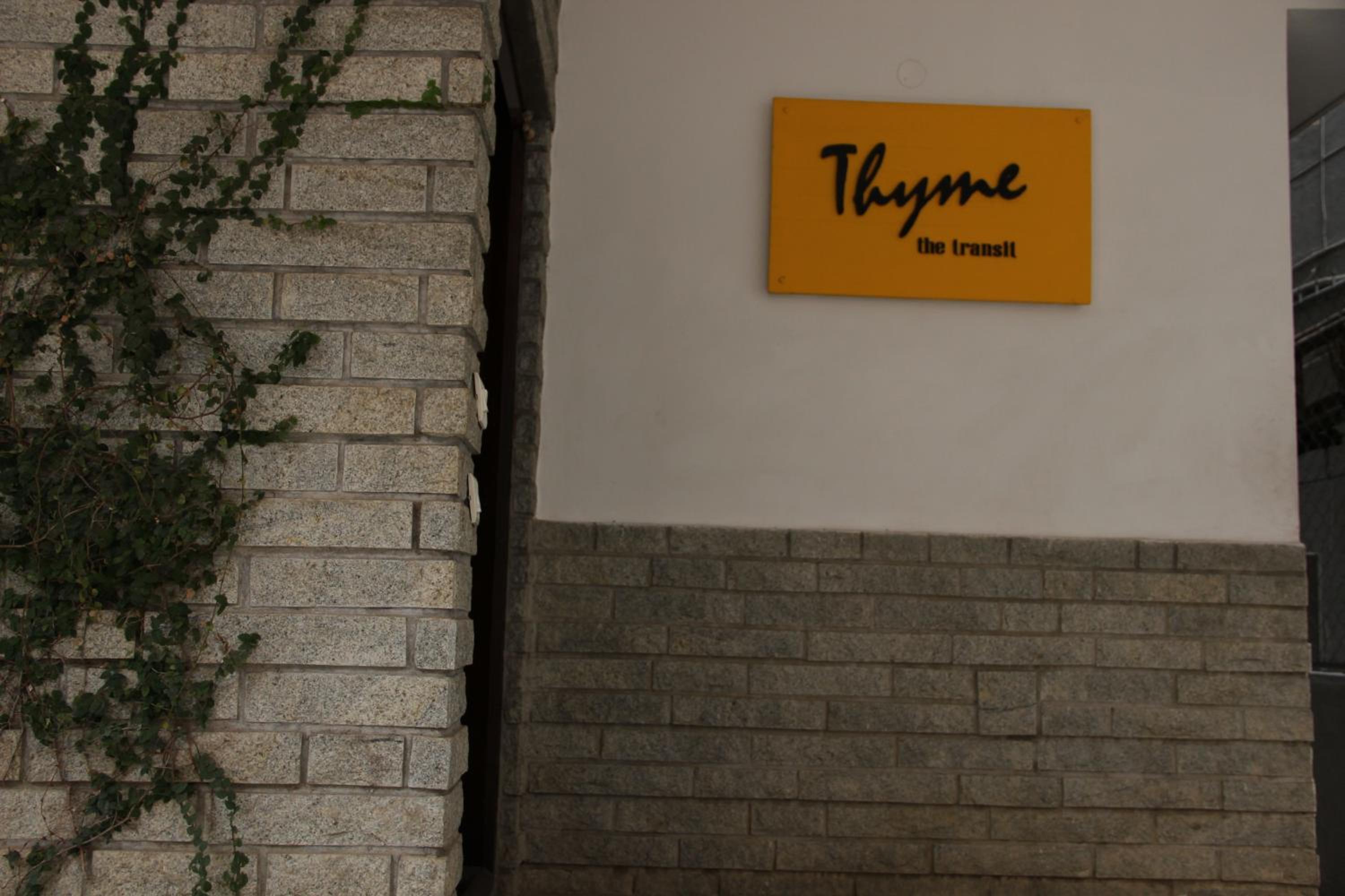 Thyme The Transit 16/29