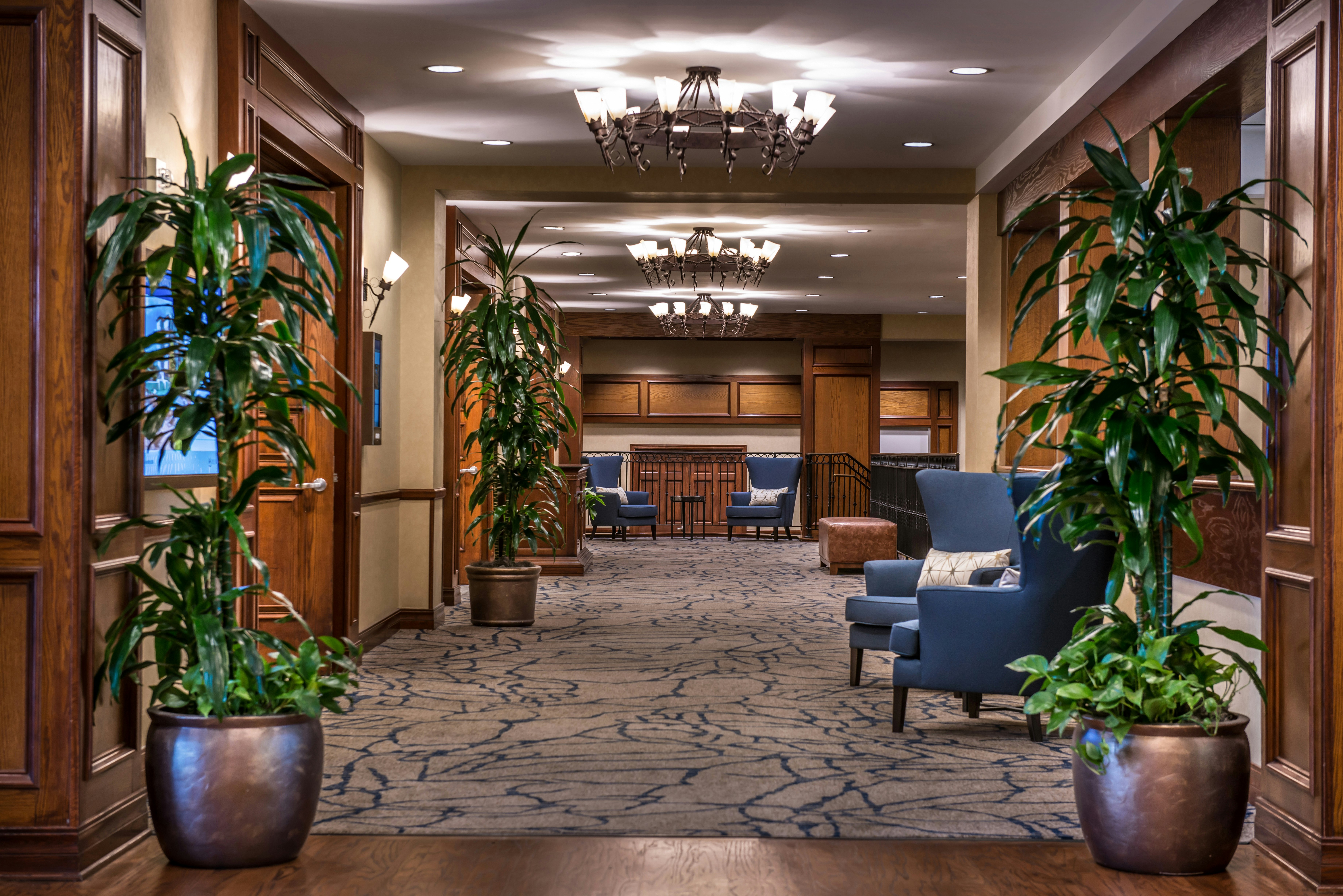 Hilton San Antonio Hill Country 14/74