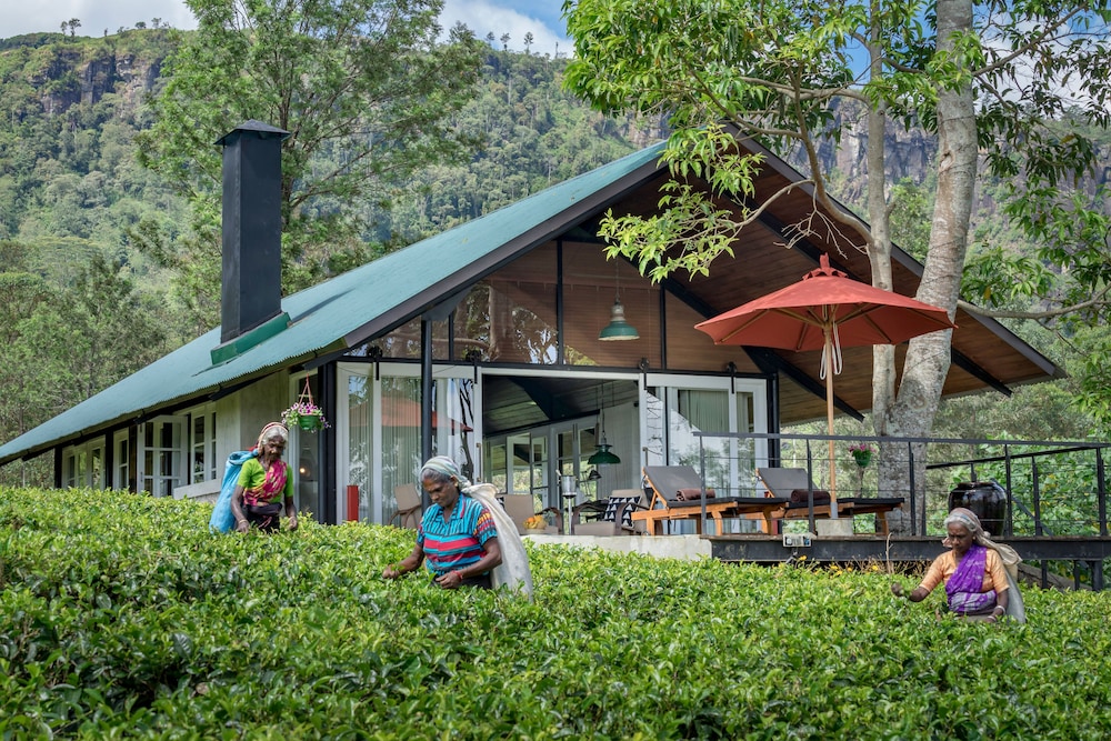 Madulkelle Tea And Eco Lodge 34/43