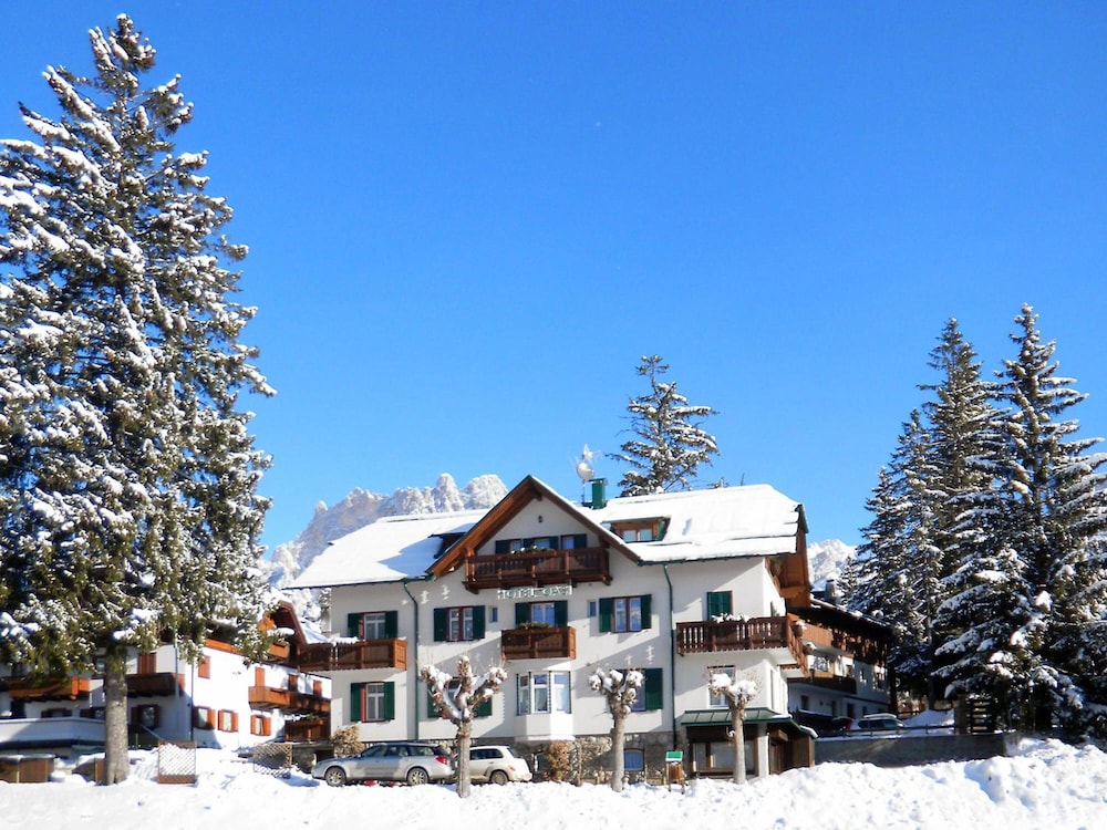 Hotel Oasi 3/50