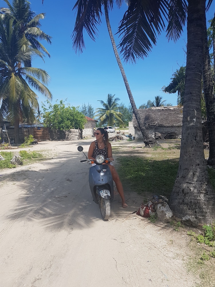 Jambo Beach Bungalows - Hostel 31/50