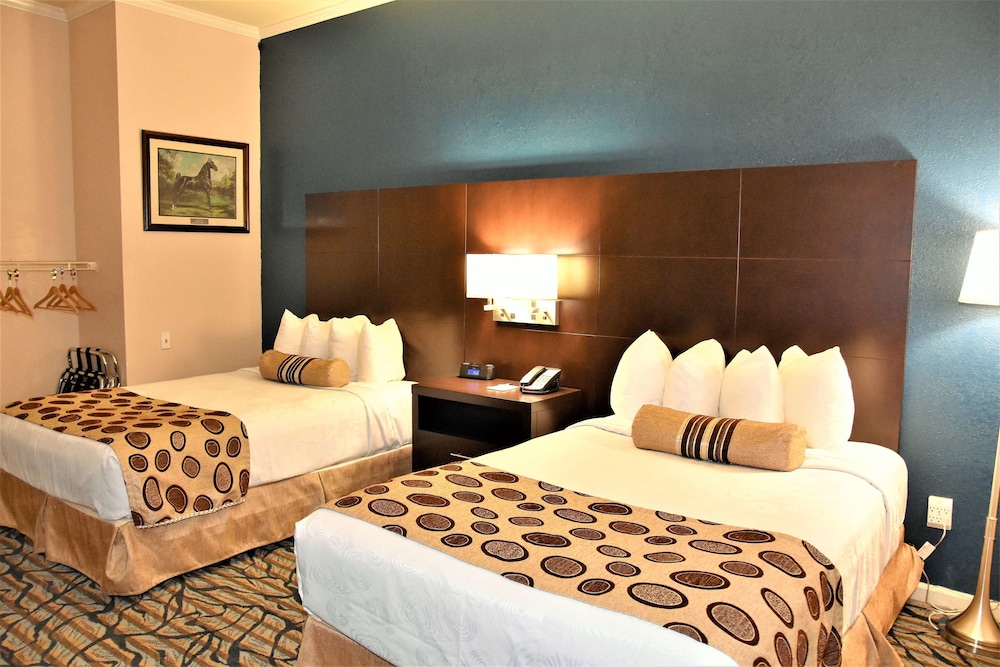 Best Western Spring Hill Inn & Suites 5/32