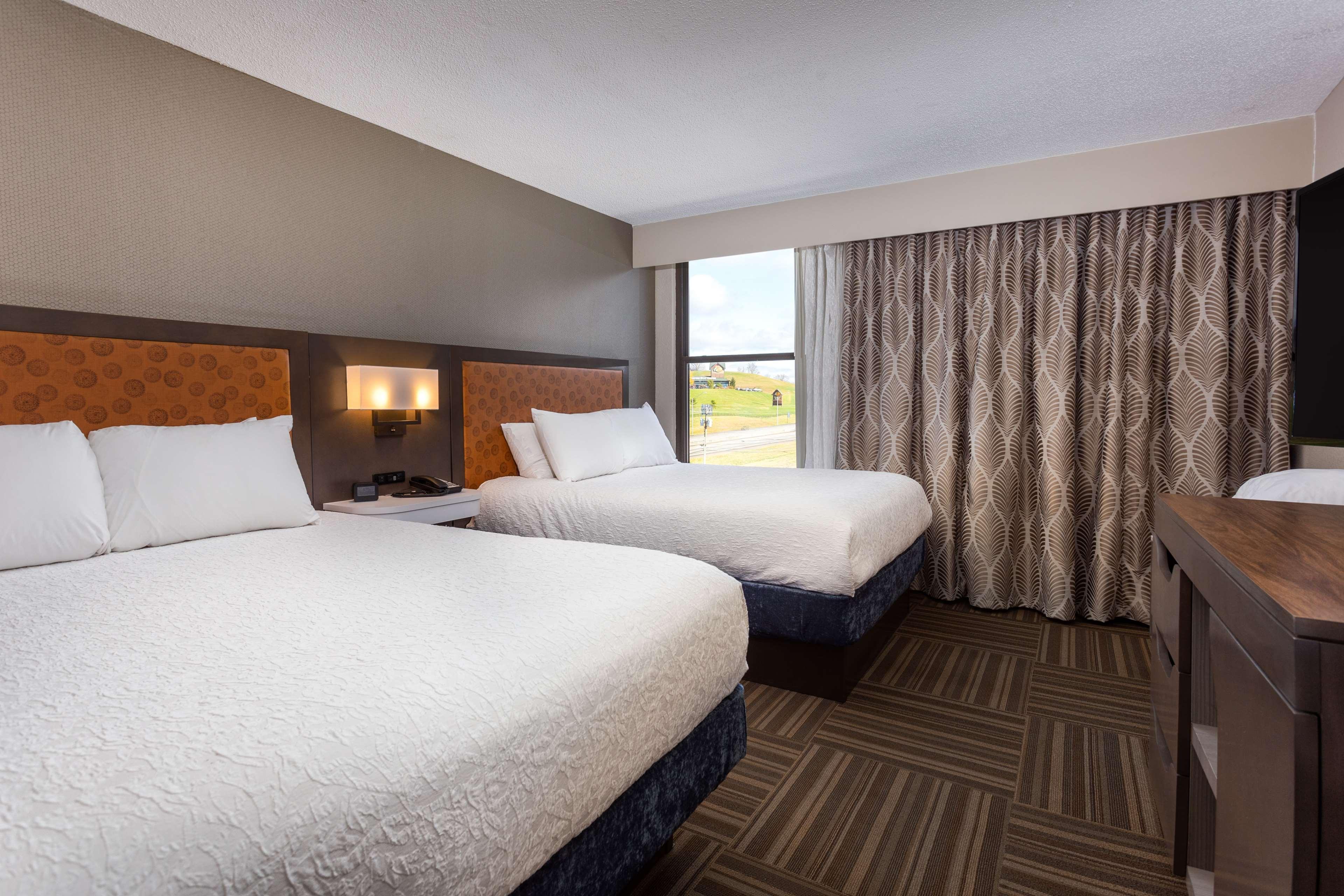 1 Bedroom, Suite