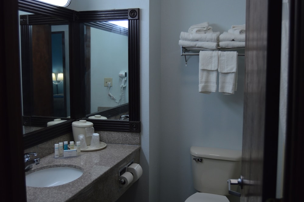 Comfort Inn & Suites Cincinnati Uptown Clifton 40/45