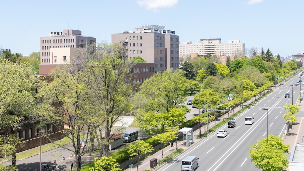 Toyoko Inn Sapporo Eki Nishi Guchi Hokudai Mae 5/63