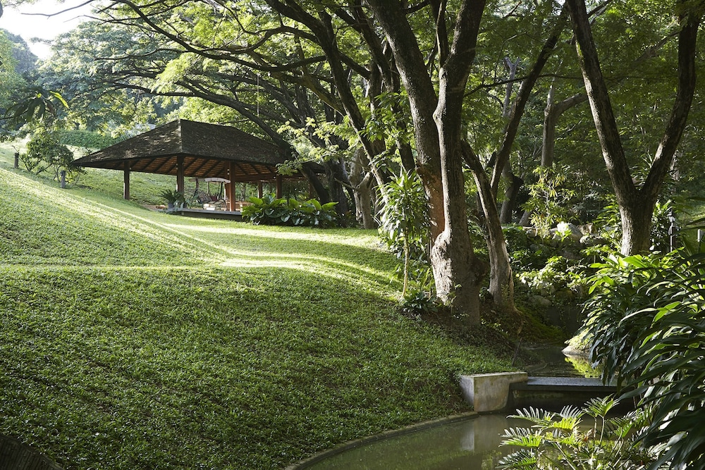 Rain Tree Residence 71/78