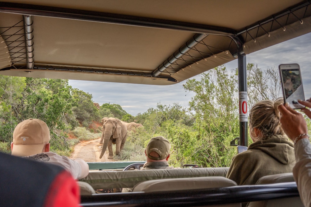 Amakhala Safari Lodge 14/50