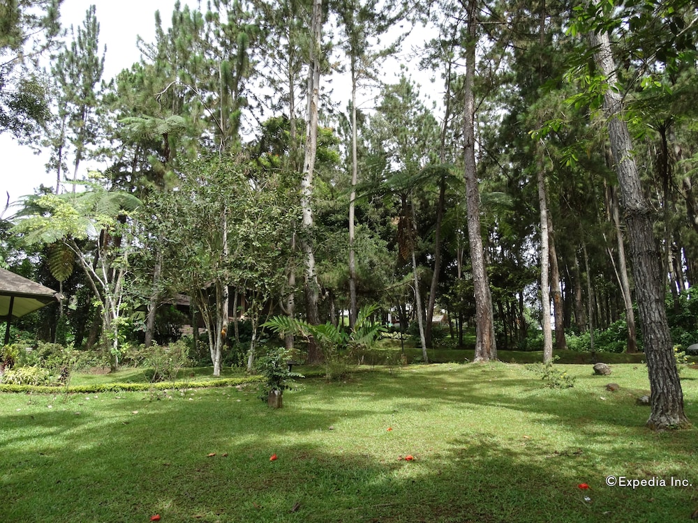 Eden Nature Park And Resort 43/55