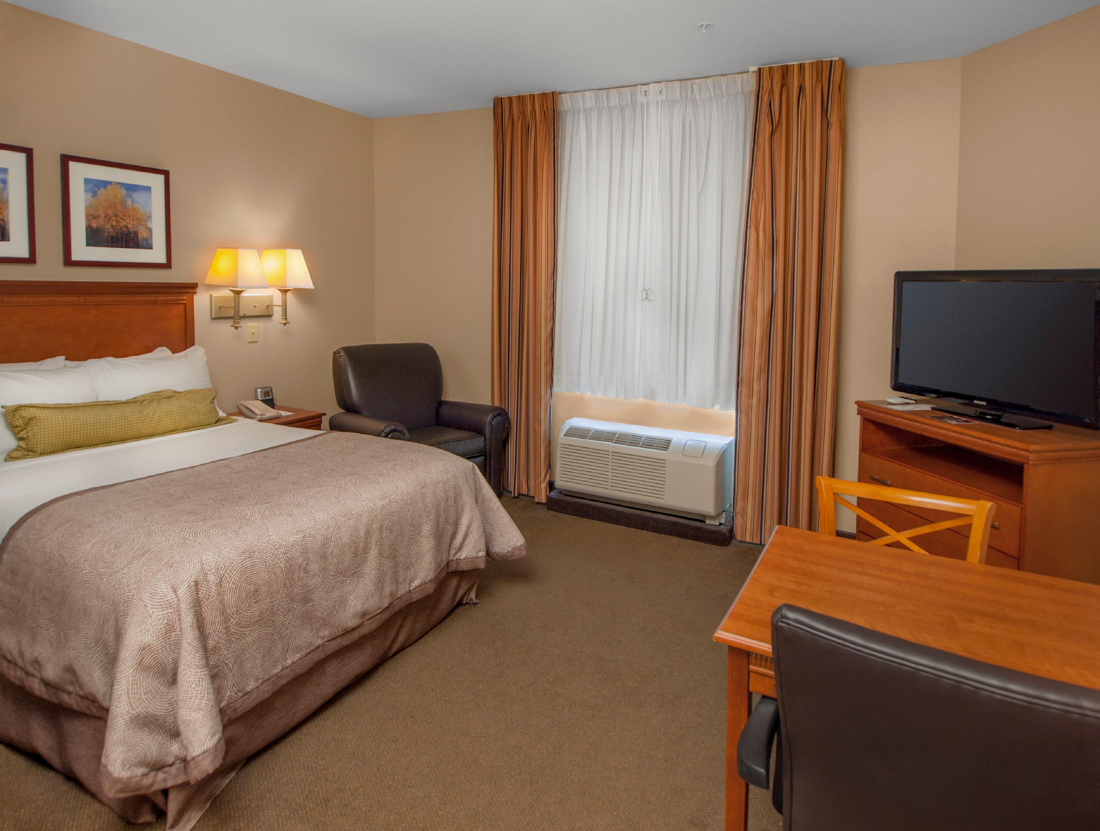 Studio, Queen Bed