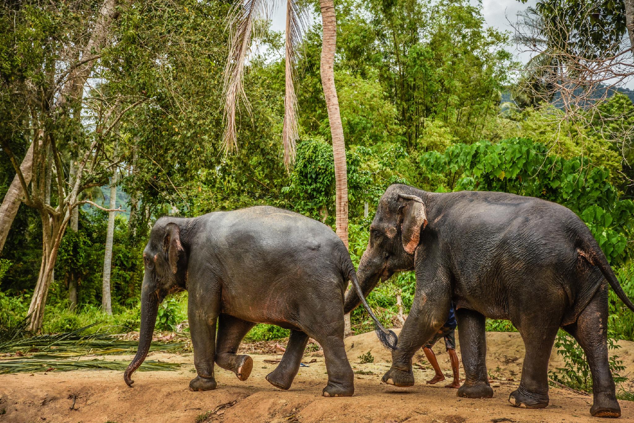 Baan Ban Buri 30/35