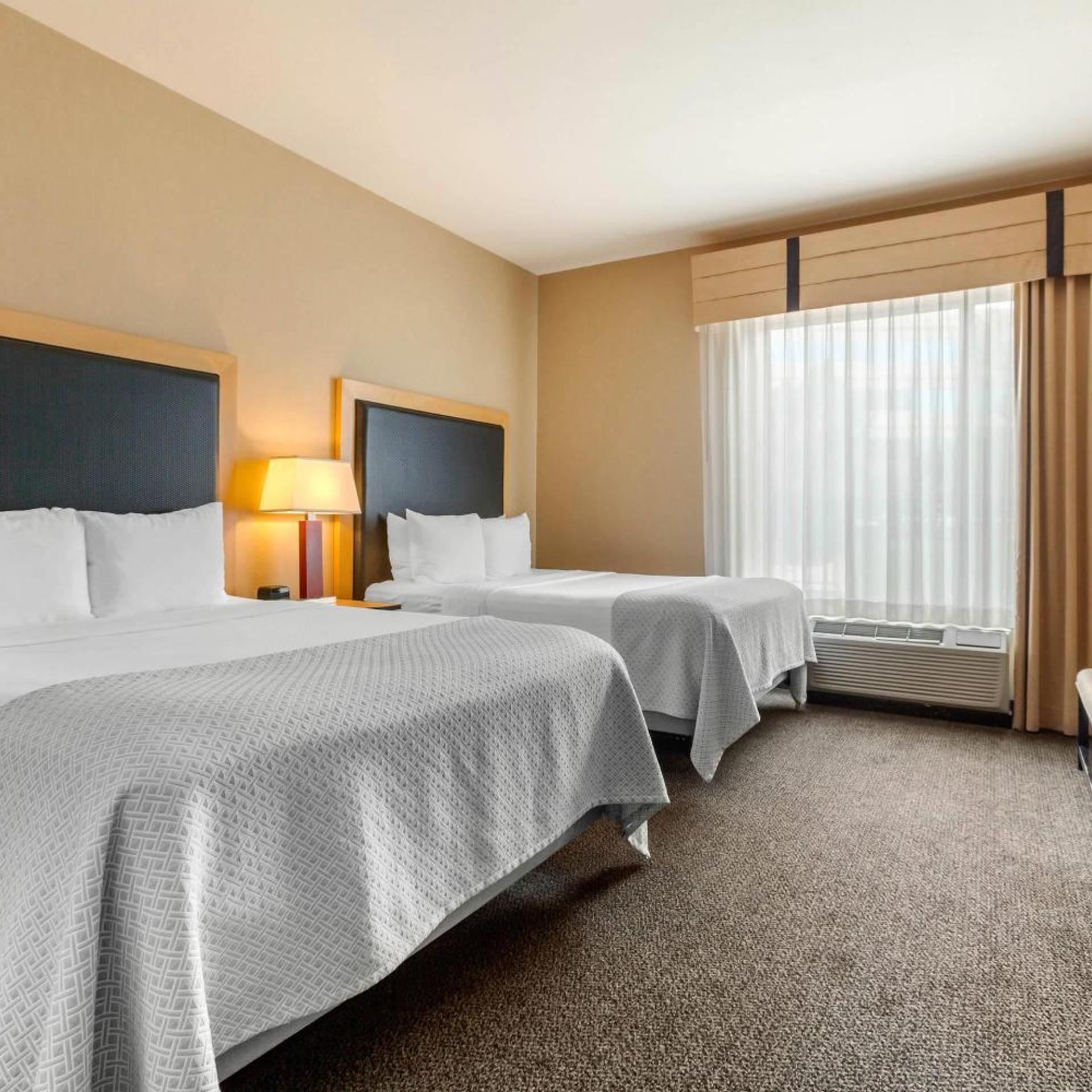 Suite, Queen Bed, Sofa