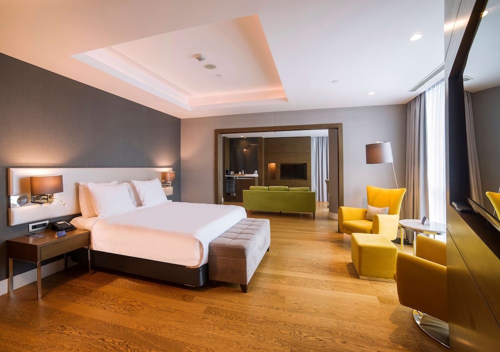 Radisson Blu Hotel, Kayseri 23/77