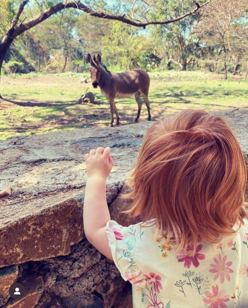 Mount Meru Game Lodge 44/50