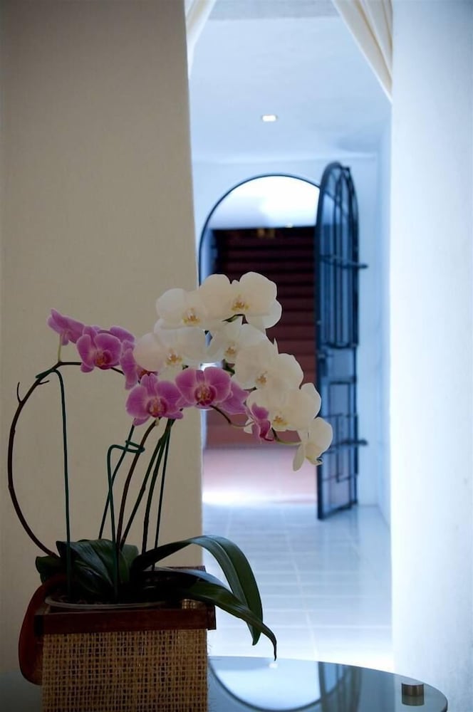Colibri Hotel B&B 16/39