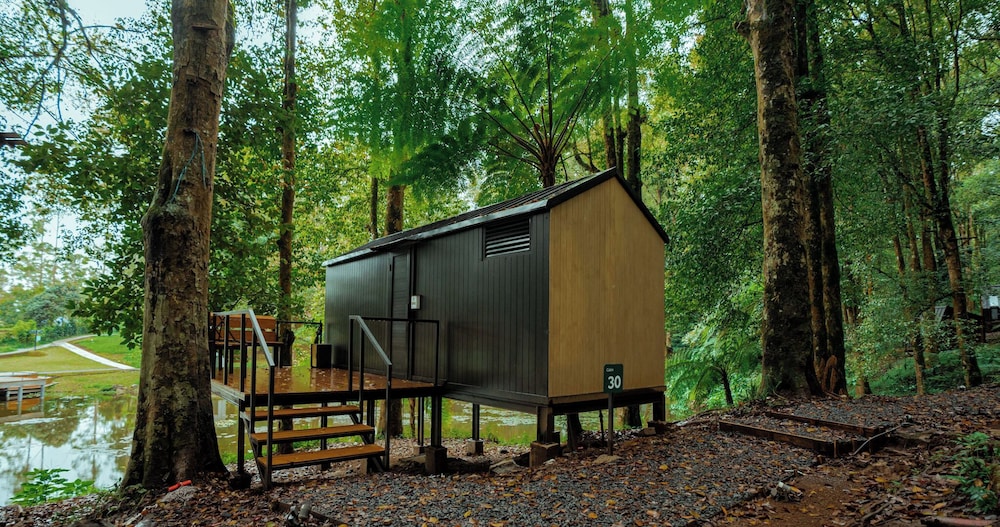Bobocabin Ranca Upas 8/49