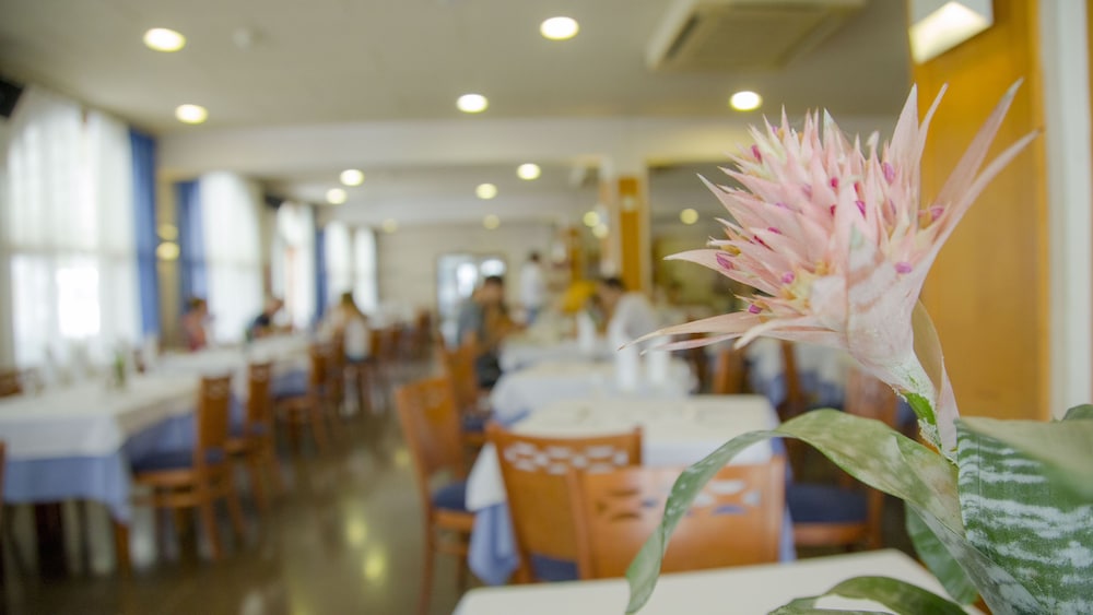 Hotel Medes Ii 31/50