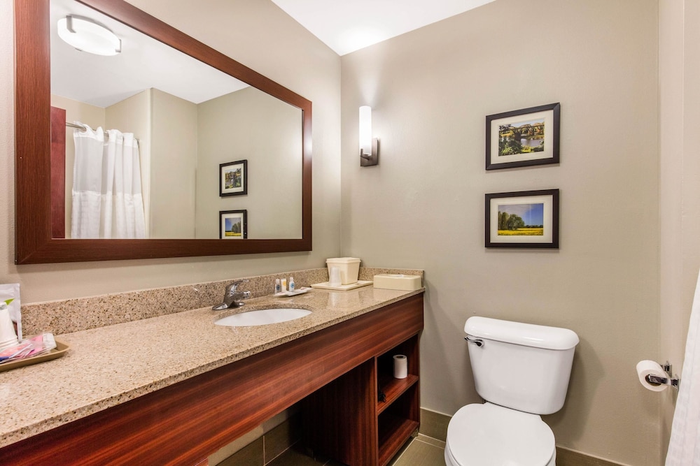 Comfort Suites Tuscaloosa Near University 14/36