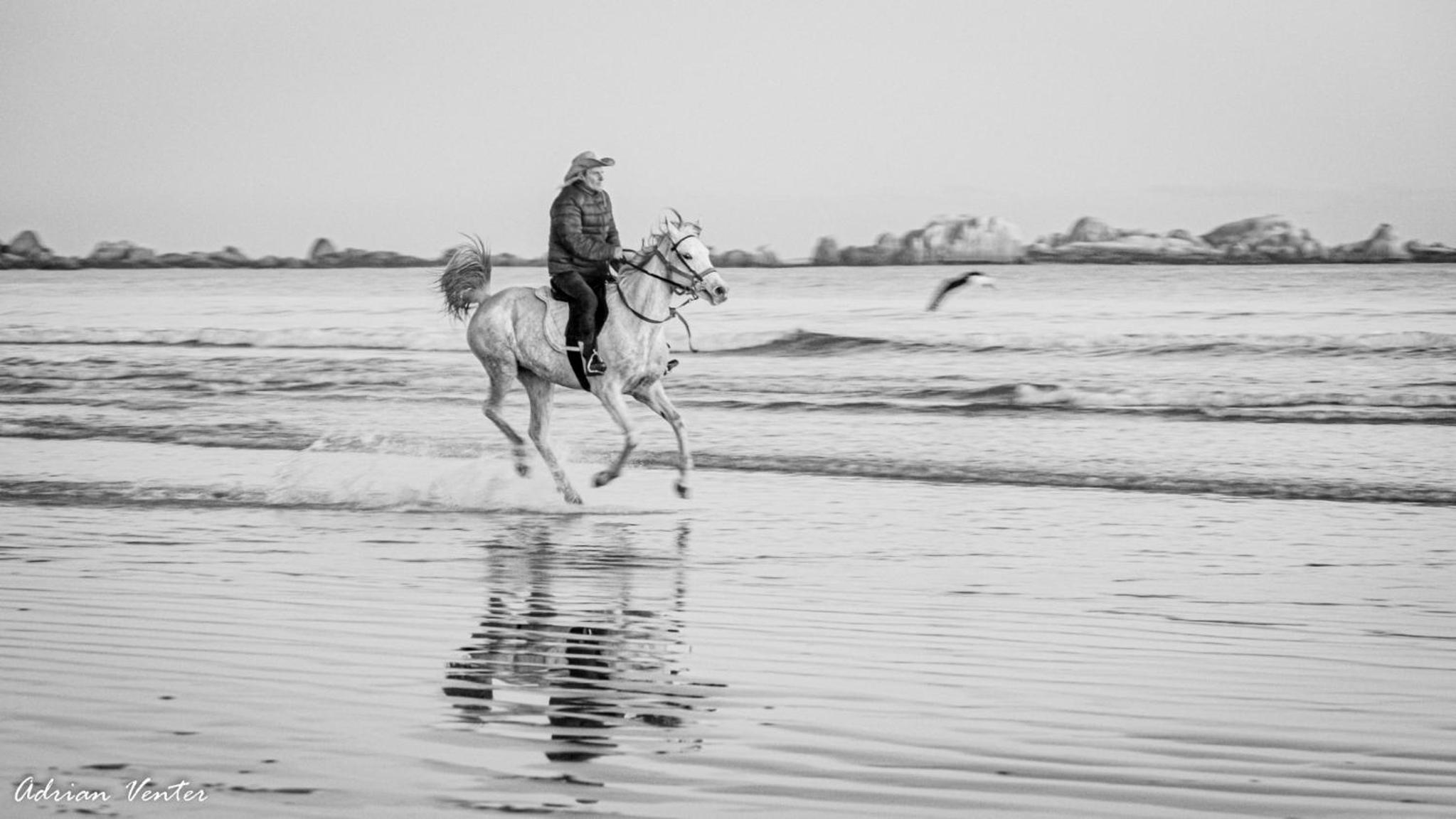 Flamink Beach View Cottage in Paternoster 38/50